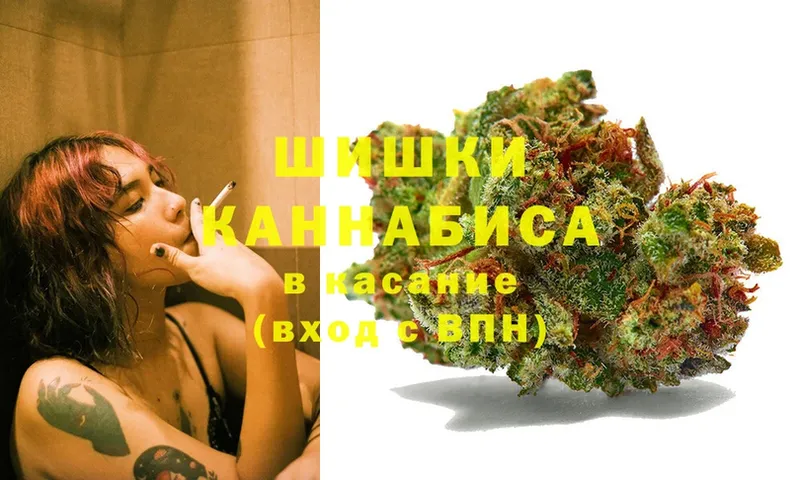 где можно купить   Ликино-Дулёво  Конопля White Widow 